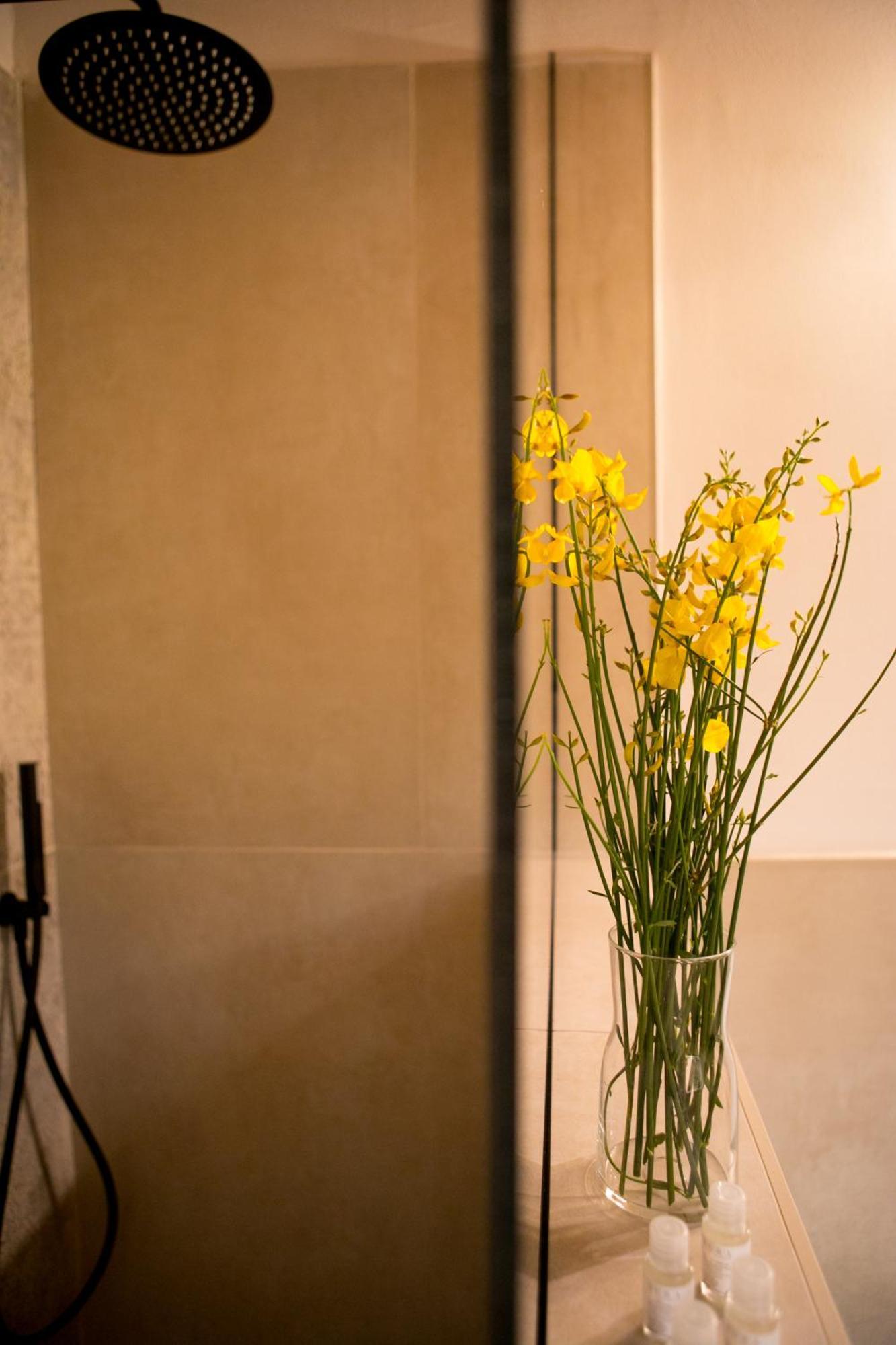 Casa Maria Apartment Rosignano Marittimo Ngoại thất bức ảnh